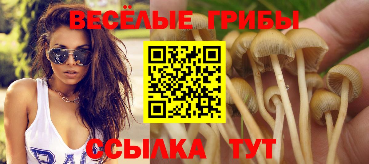 Галлюциногенные грибы прущие грибы Чита
