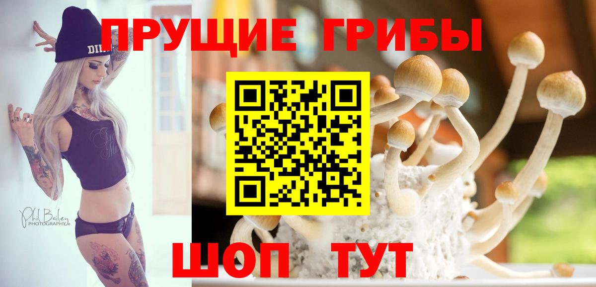 Псилоцибиновые грибы MAGIC MUSHROOMS  Вход с VPN  Чита  Галлюциногенные грибы GOLDEN TEACHER 