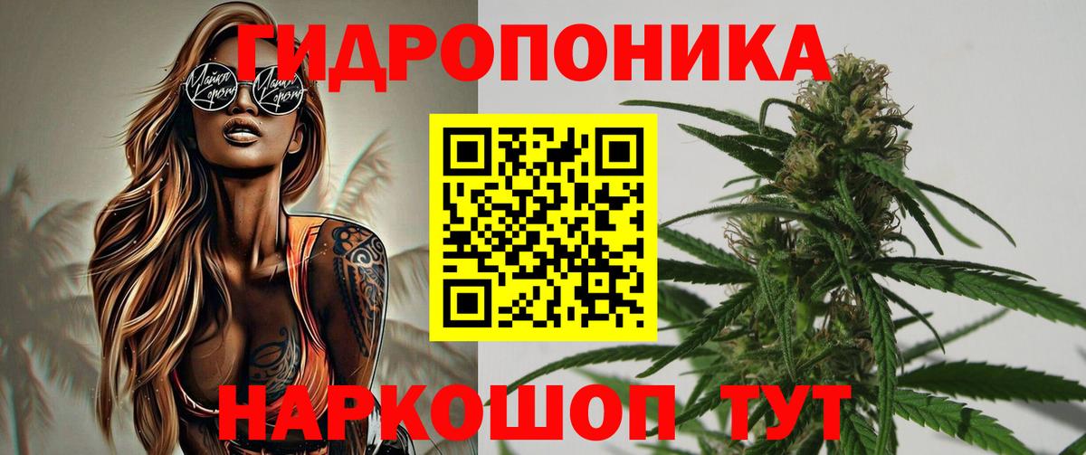 Шишки марихуана семена  Каннабис конопля  МАРИХУАНА SATIVA & INDICA  Чита  Вход с VPN 