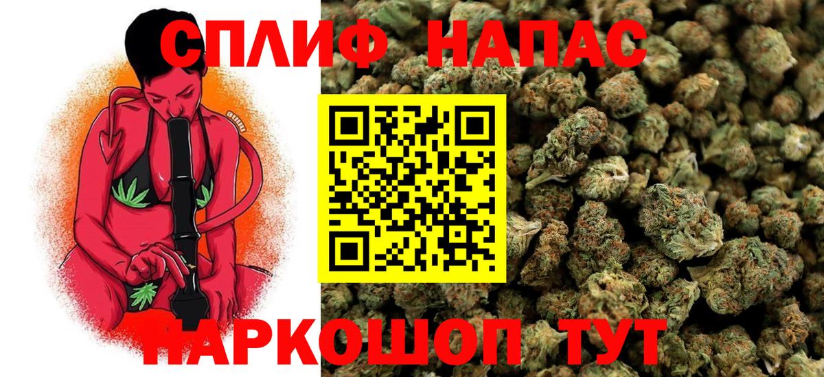 Каннабис OG Kush Чита